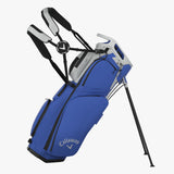 Callaway Fairway 14 Stand Golf Bag-Silver/Neptune